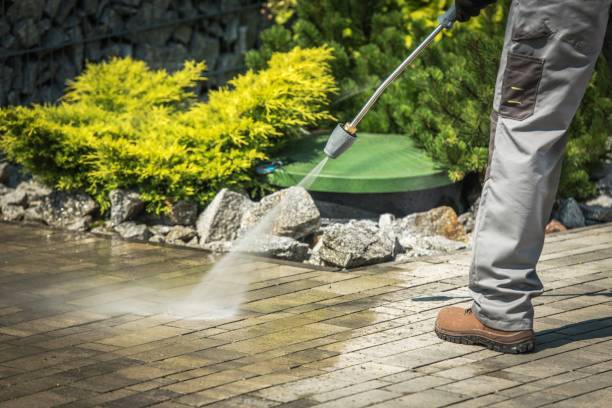 Best Sidewalk and Walkway Cleaning  in Roosevelt Gardens, FL