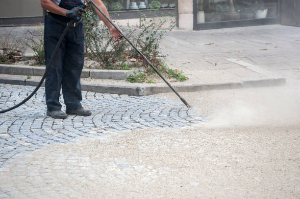 Best Gutter Cleaning  in Roosevelt Gardens, FL