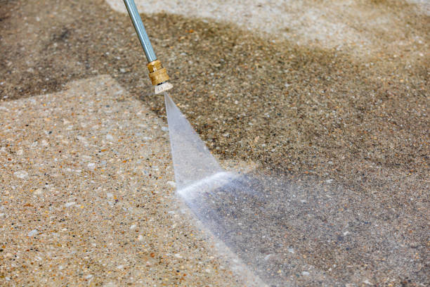 Best House Exterior Washing  in Roosevelt Gardens, FL